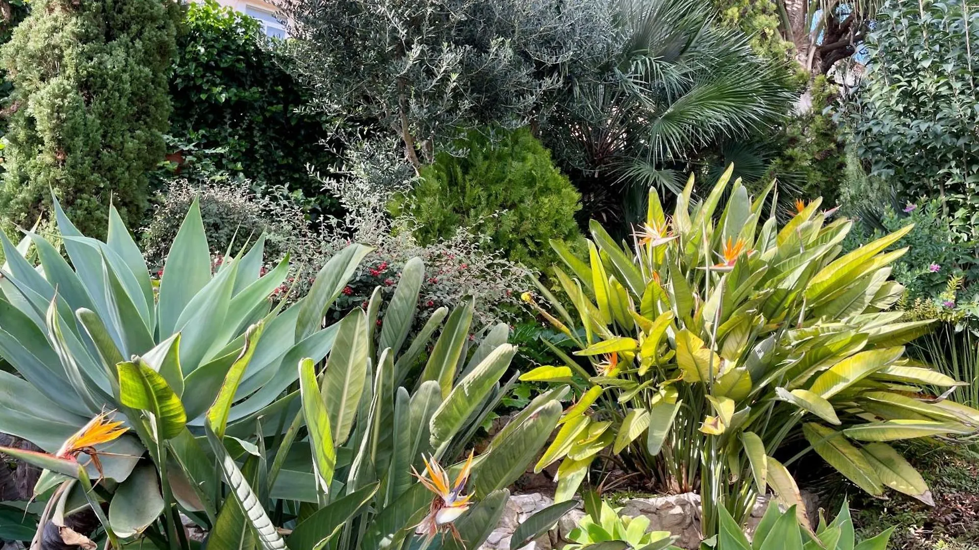 Entire Villa With Pool Sea And Mountain Views Sitges Spain